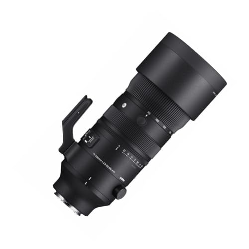 Sony 70-200mm F2.8 DG DN OS Lens