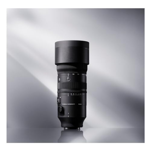 Sony 70-200mm F2.8 DG DN OS Lens