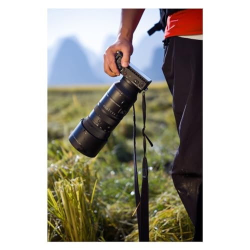 Sony 70-200mm F2.8 DG DN OS Lens