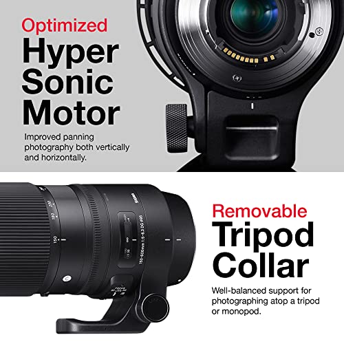 Sigma 150-600mm Canon Zoom Telephoto Lens Bundle for Canon