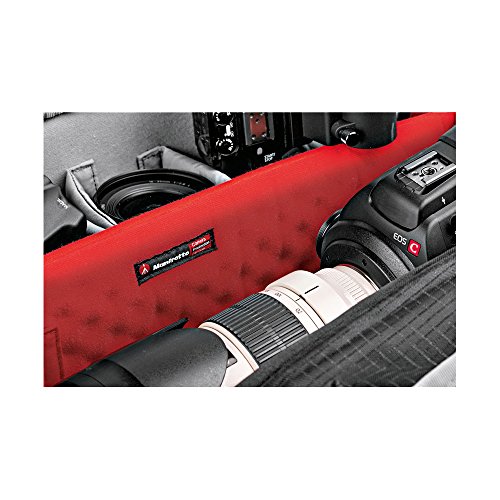 Manfrotto Pro Light Cinematic Backpack for Camcorders