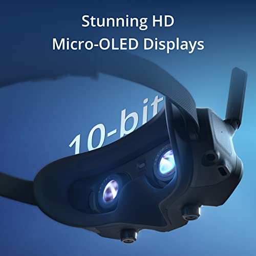 DJI Goggles 2: Lightweight Immersive Flight Goggles, HD Screens