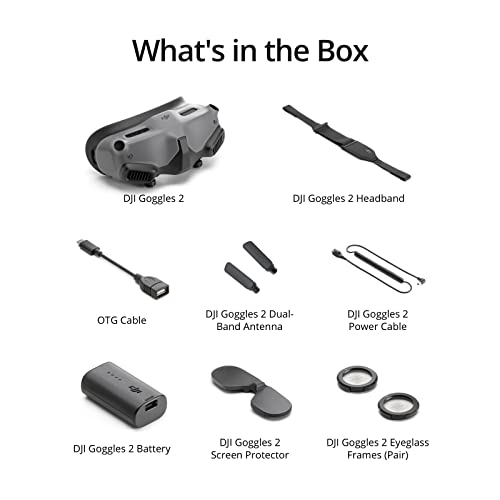 DJI Goggles 2: Lightweight Immersive Flight Goggles, HD Screens