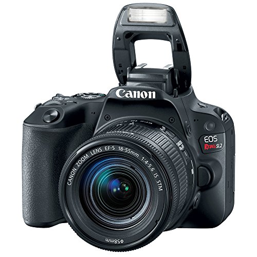 Canon EOS Rebel SL3 Camera with EF-S 18-55mm Kit