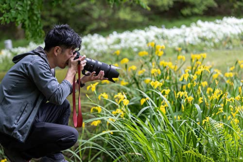 Nikon NIKKOR Z 100-400mm VR S | Versatile telephoto zoom lens