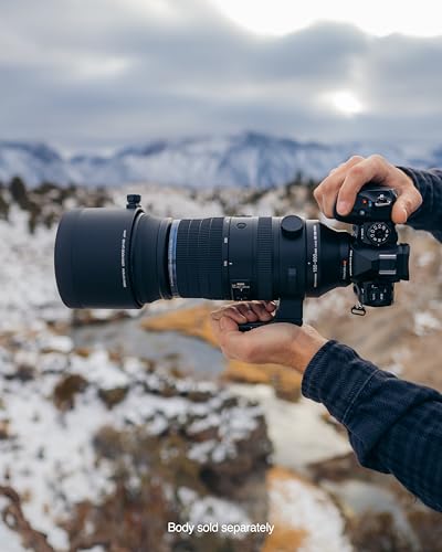Olympus M.Zuiko ED 150-600mm Lens for Wildlife Photography