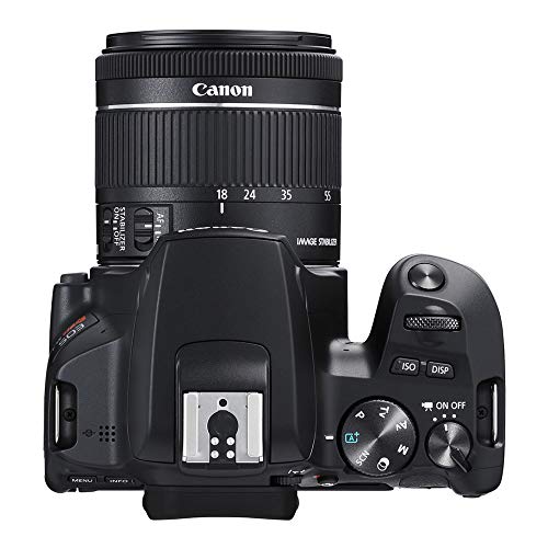 Canon EOS Rebel SL3 Camera with EF-S 18-55mm Kit