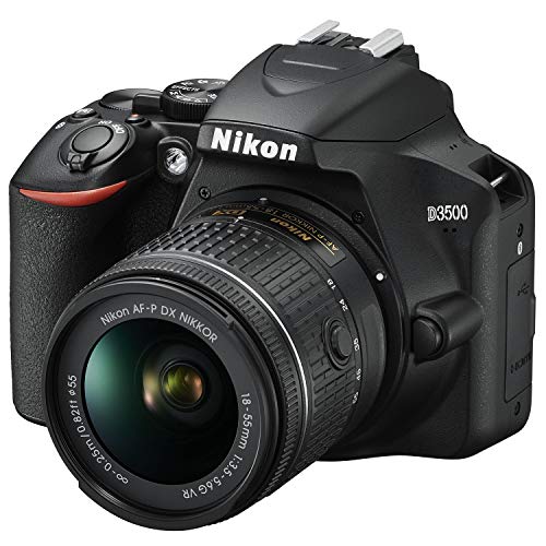 Nikon D3500 DSLR Camera with AF-P DX NIKKOR Lens
