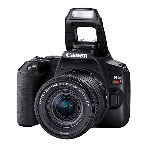Canon EOS Rebel SL3 Camera with EF-S 18-55mm Kit