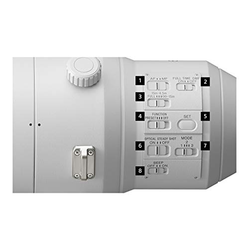 FE 600mm F4 GM Super Telephoto Lens SEL600F40GM