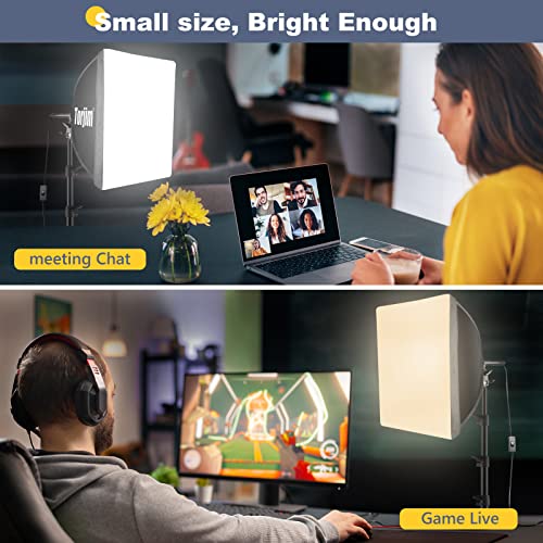 Torjim Professional Softbox Lighting Kit with LED Bulbs