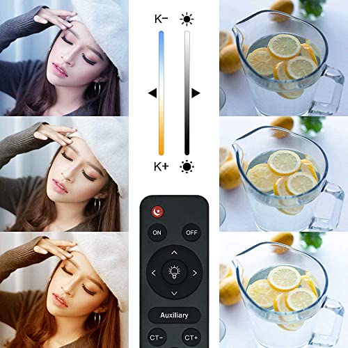 MOUNTDOG Softbox Lighting Kit with LED Upgrade