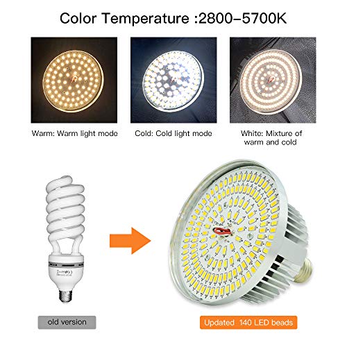 MOUNTDOG Softbox Lighting Kit with LED Upgrade