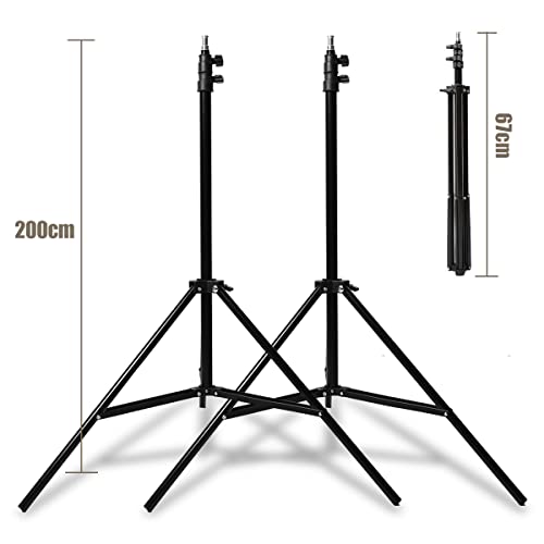 Godox 800W Studio Strobe Lighting Kit for Photography