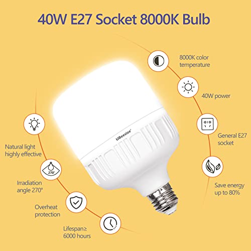 Professional Softbox Lighting Kit for Video Recording & Portraits