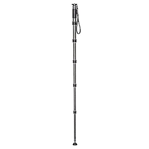 Gitzo Monopod: Series 4, Long, 5 Sections