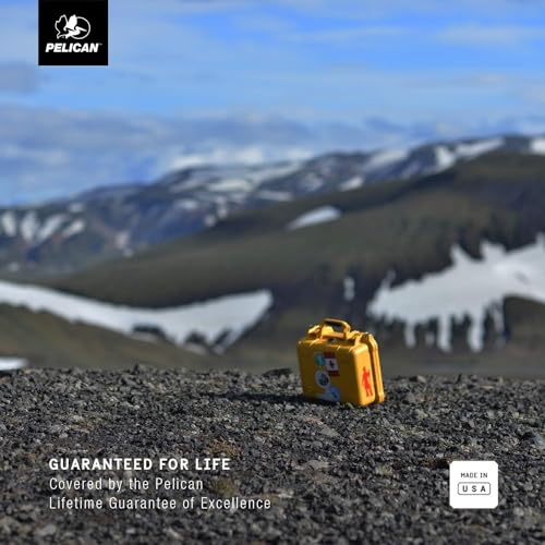 Black Pelican 1200 Case With Foam