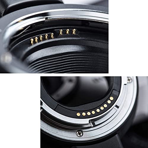 Canon EF-EOS M Auto-Focus Lens Adapter Converter
