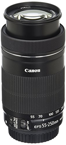 Canon EF-S 55-250mm F4-5.6 STM Lens