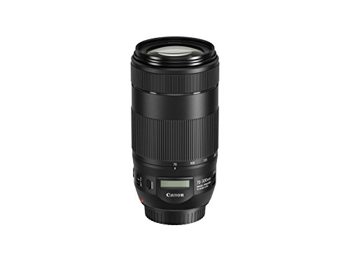 Canon EF 70-300mm f/4-5.6 Zoom Lens Black