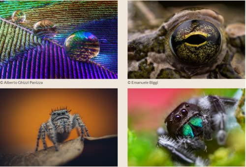 Venus Laowa 85mm 2X Ultra Macro Lens Nikon Z