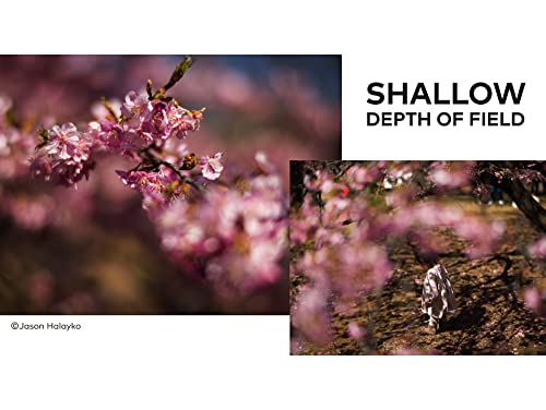 Mitakon Zhongyi Speedmaster 65mm f/1.4 XCD Lens