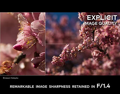 Mitakon Zhongyi Speedmaster 65mm f/1.4 XCD Lens