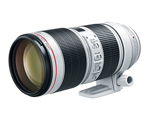 Canon EF 70-200mm f/2.8L IS III Lens