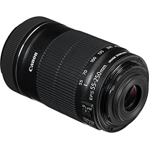 Canon EF-S 55-250mm F4-5.6 STM Lens