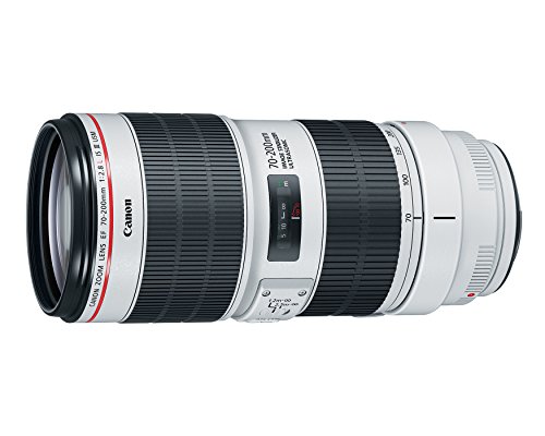 Canon EF 70-200mm f/2.8L IS III Lens