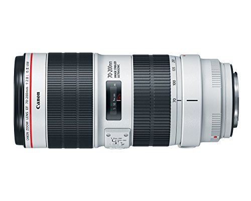 Canon EF 70-200mm f/2.8L IS III Lens