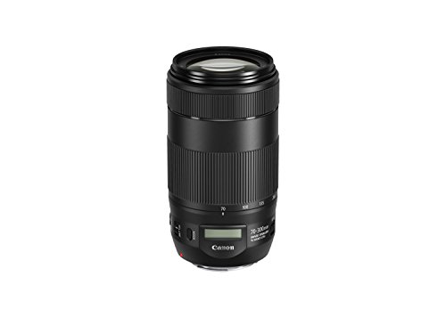 Canon EF 70-300mm f/4-5.6 Zoom Lens Black