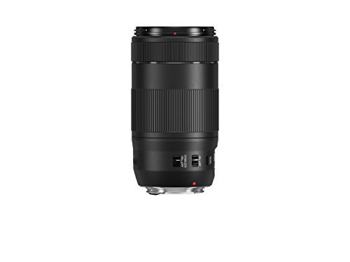 Canon EF 70-300mm f/4-5.6 Zoom Lens Black
