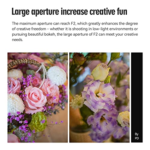 TTArtisan 25mm F2 Wide-Angle Lens for Fuji X-Mount