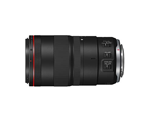 Canon RF100mm F2.8 L Macro Lens