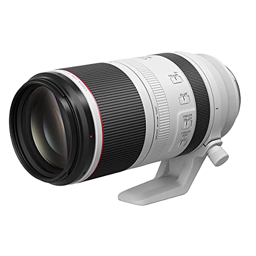 Canon RF 100-500mm Super-Telephoto Lens USM F4.5-7.1 L
