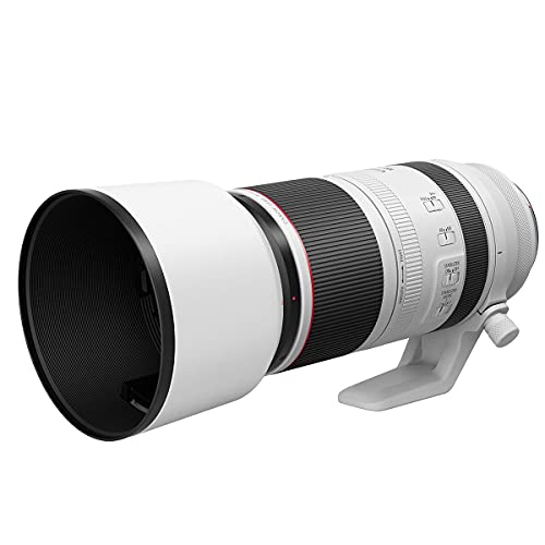 Canon RF 100-500mm Super-Telephoto Lens USM F4.5-7.1 L