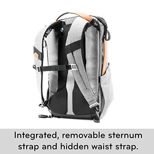 Peak Design Everyday 30L Ash Camera Backpack