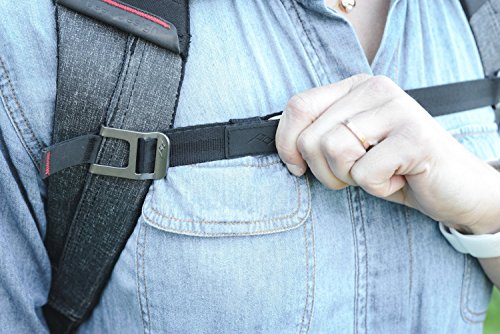 Peak Design Everyday 30L Ash Camera Backpack