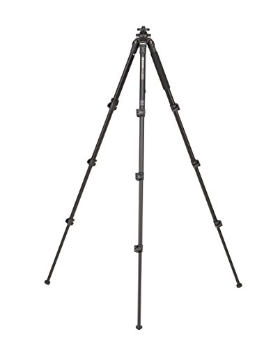 Benro Adventure 1 Aluminum Tripod for Photography, Black