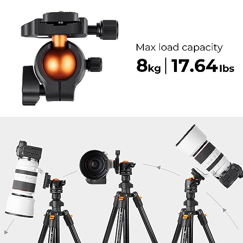 K&F Concept Lightweight Camera Tripod with Ball Head