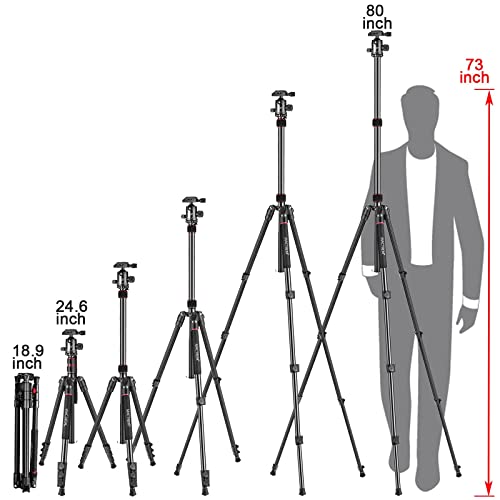 MACtrem 80" Professional Camera Tripod and Monopod