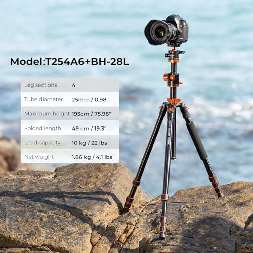 K&F Concept 74 inch Camera Tripod with Monopod
