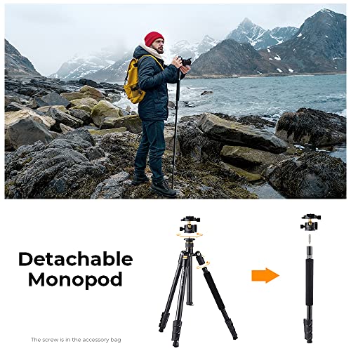 K&F Concept 64" Tripod with Ball Head