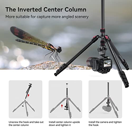 SmallRig 78" Camera Tripod with 360° Ball Head