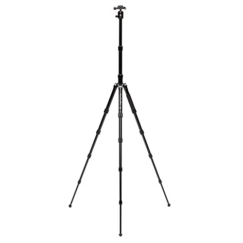 Benro Mefoto Roadtrip Pro Monopod in Elegant Black