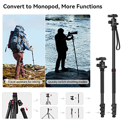 SmallRig 78" Camera Tripod with 360° Ball Head