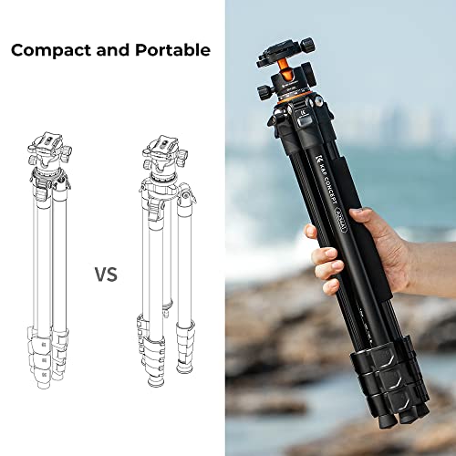 Compact 62'' Camera Tripod with Ball Head