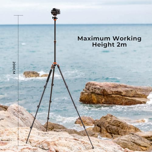 K&F 78" Camera Tripod with Ball Head (10KG)