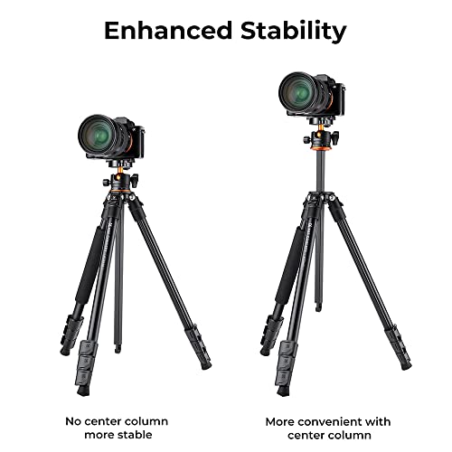 Compact 62'' Camera Tripod with Ball Head